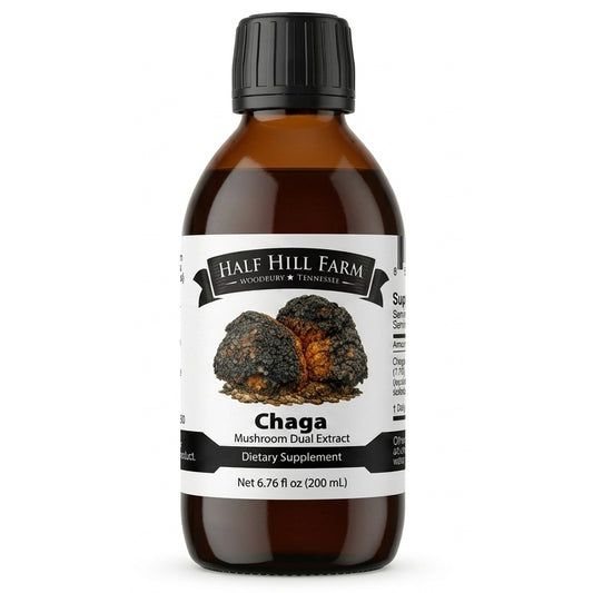 Chaga Mushroom Dual Extract