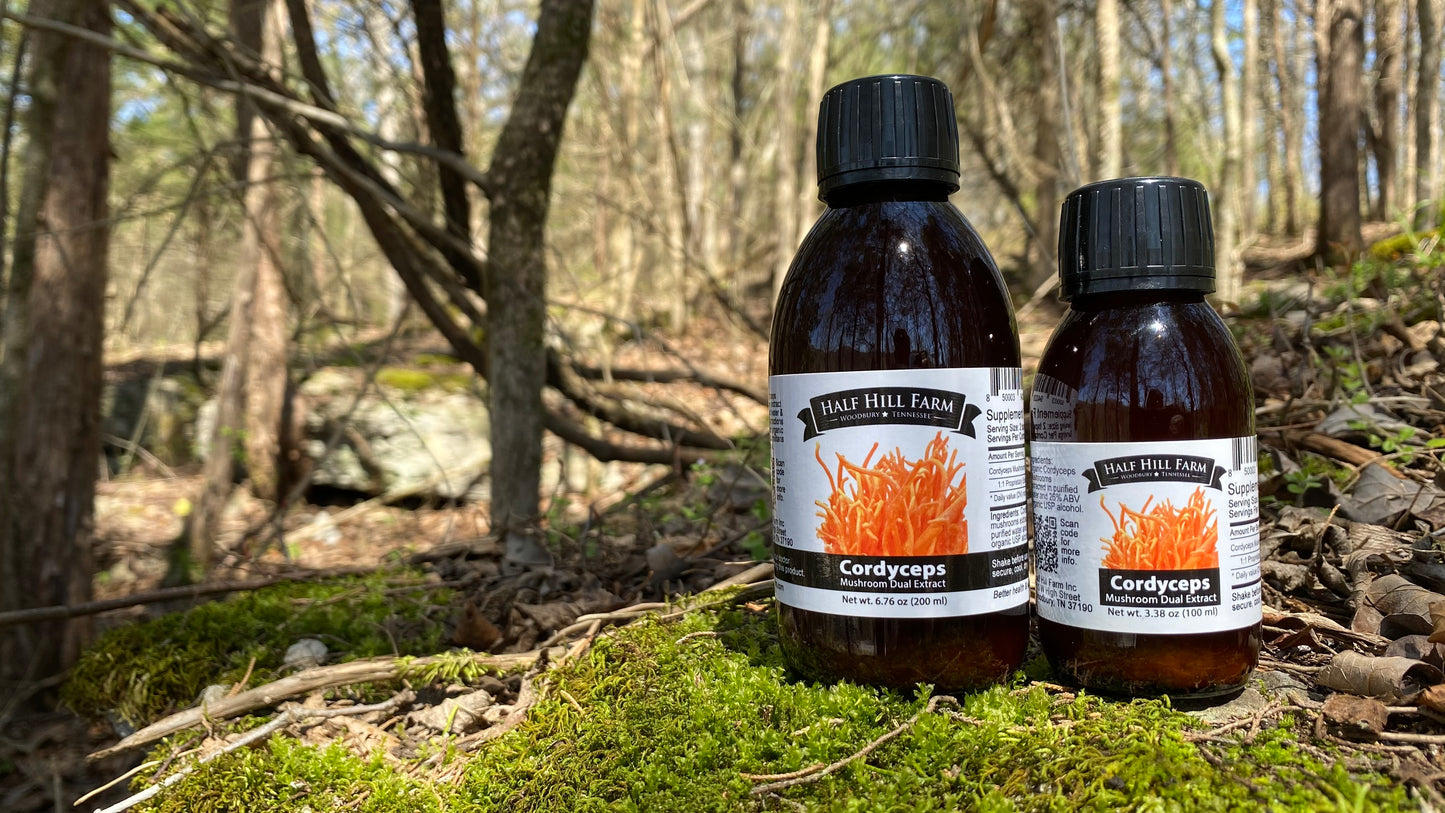 Cordyceps Mushroom Dual Extract