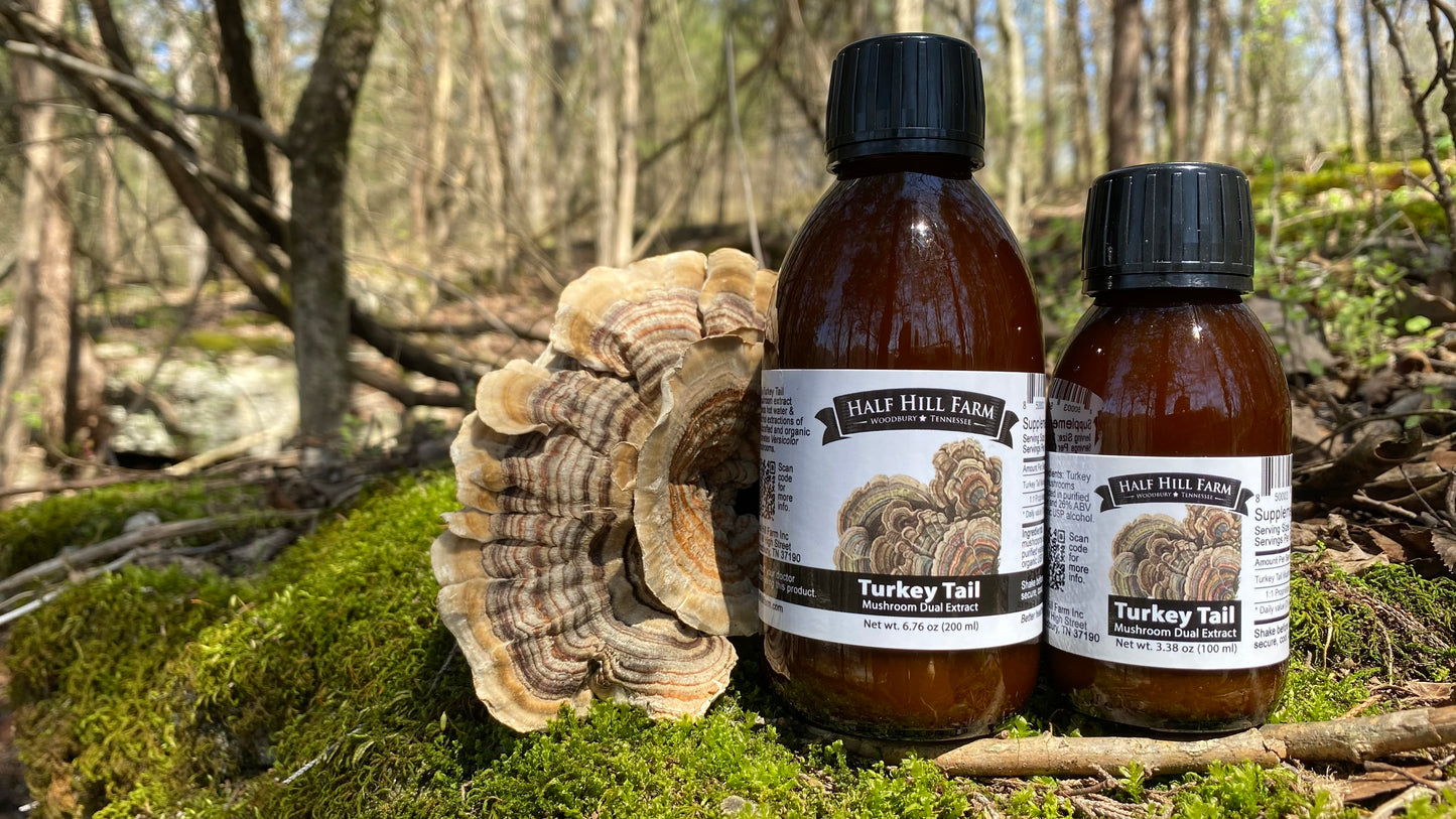 Turkey Tail Mushroom Dual Extract