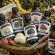 Five Mushroom Protocol: Bundle to save 15 - 20%