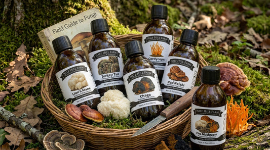 Five Mushroom Protocol: Bundle to save 15 - 20%