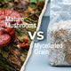 The Life Cycle of Mushrooms: Why Maturity Matters