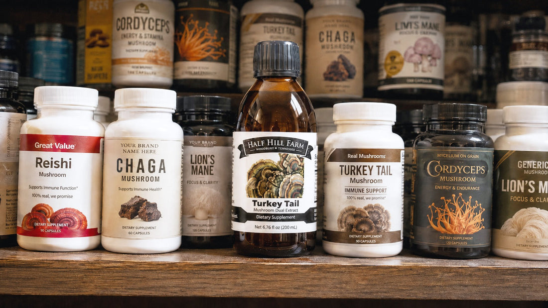 Which Mushroom Supplement Should I Take? A Buyer’s Guide