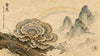 3 Ways Turkey Tail Mushrooms Support Healthy Immune Function