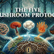 The Five Mushroom Protocol - Supporting Healthy Biological Resilience