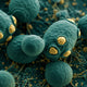 Six Symbiotic Fungi of the Human Mycobiome