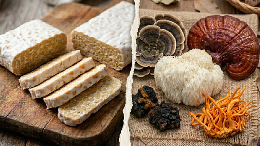 Mycelium vs. Fruiting Body: What Do Myceliated Grain Capsules Have In Common with Tempeh?