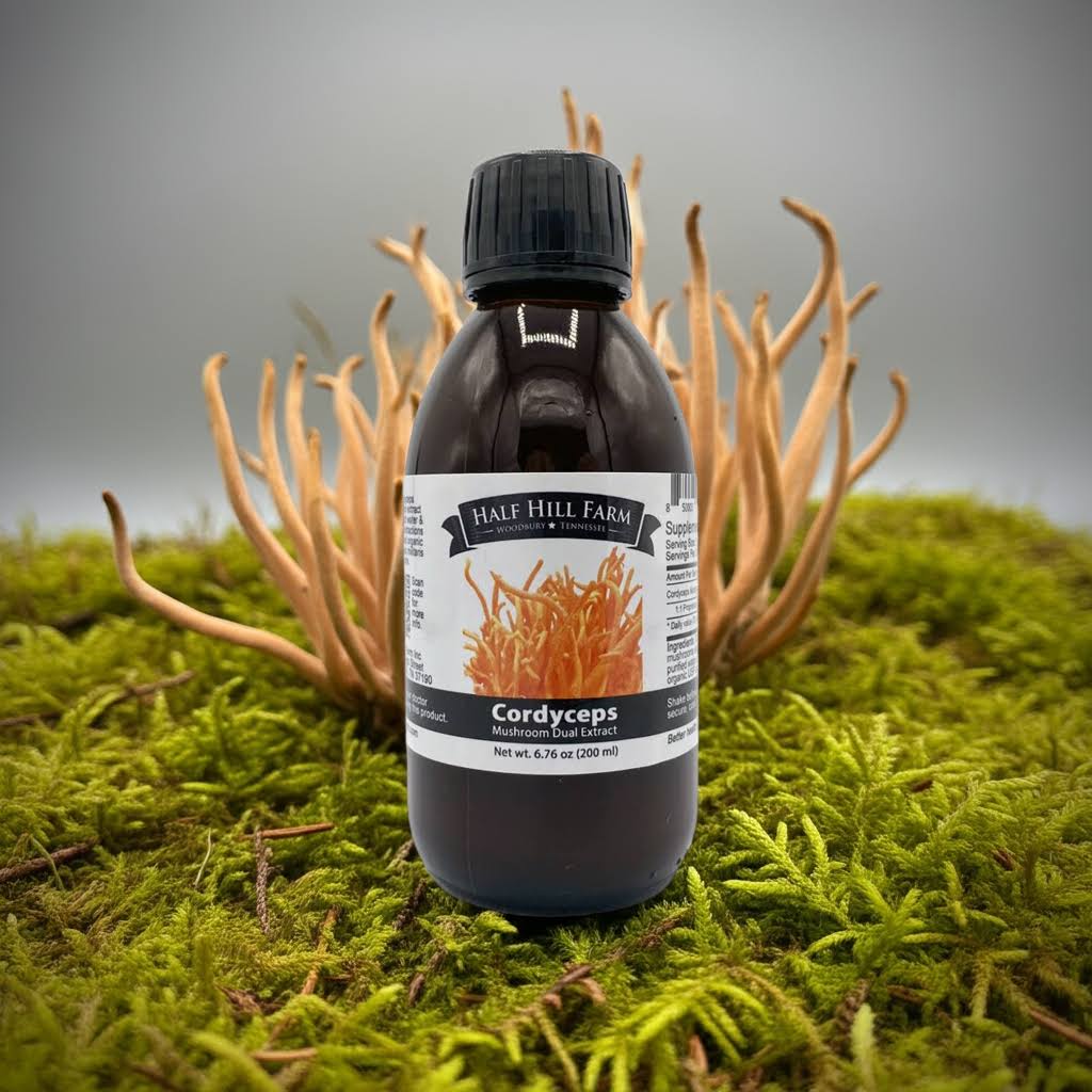 Cordyceps Mushroom Dual Extract