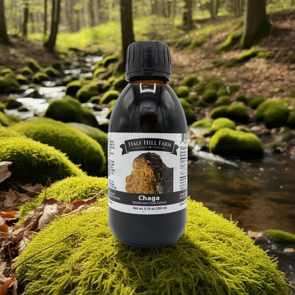 Chaga Mushroom Dual Extract