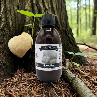 Lion's Mane Mushroom Dual Extract