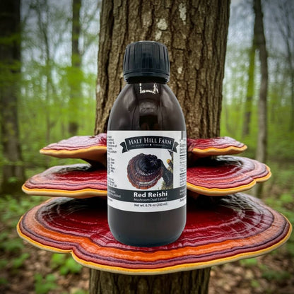 Red Reishi Mushroom Dual Extract