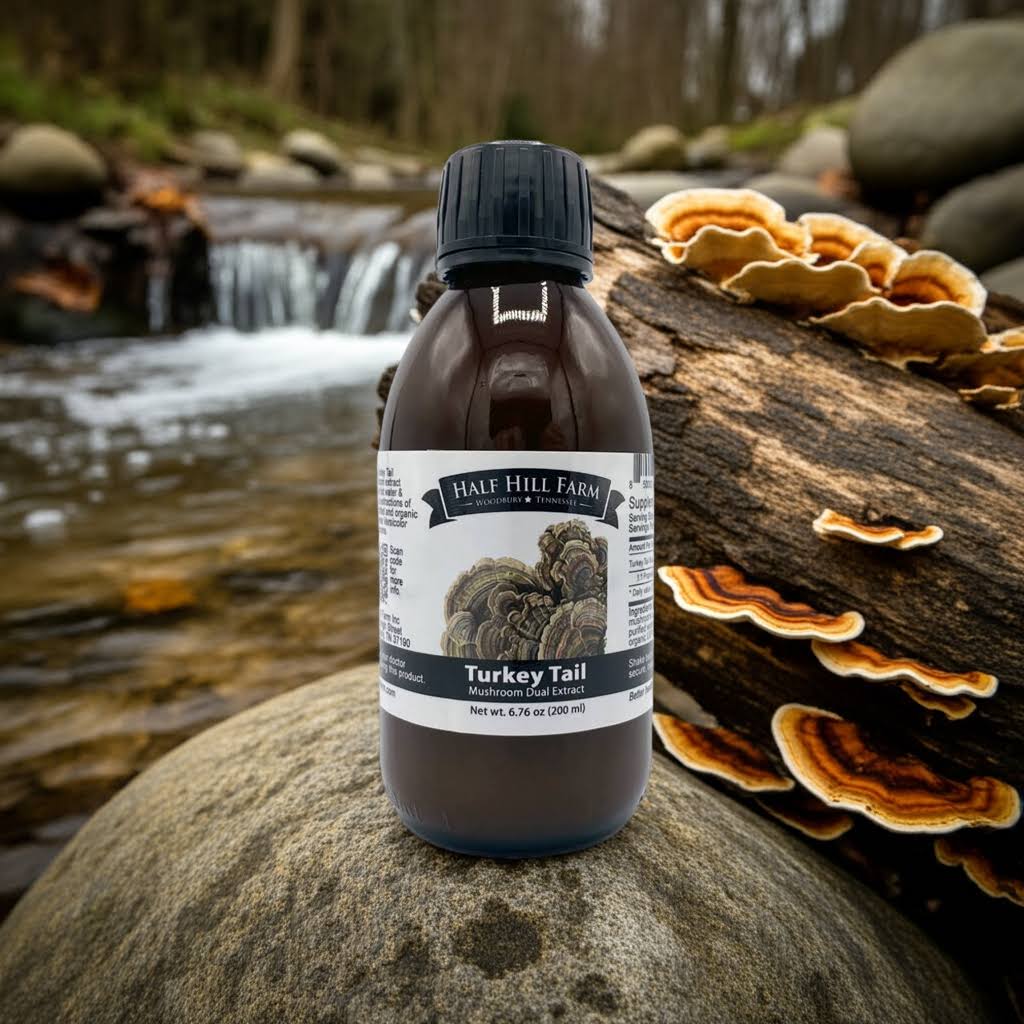 Turkey Tail Mushroom Dual Extract