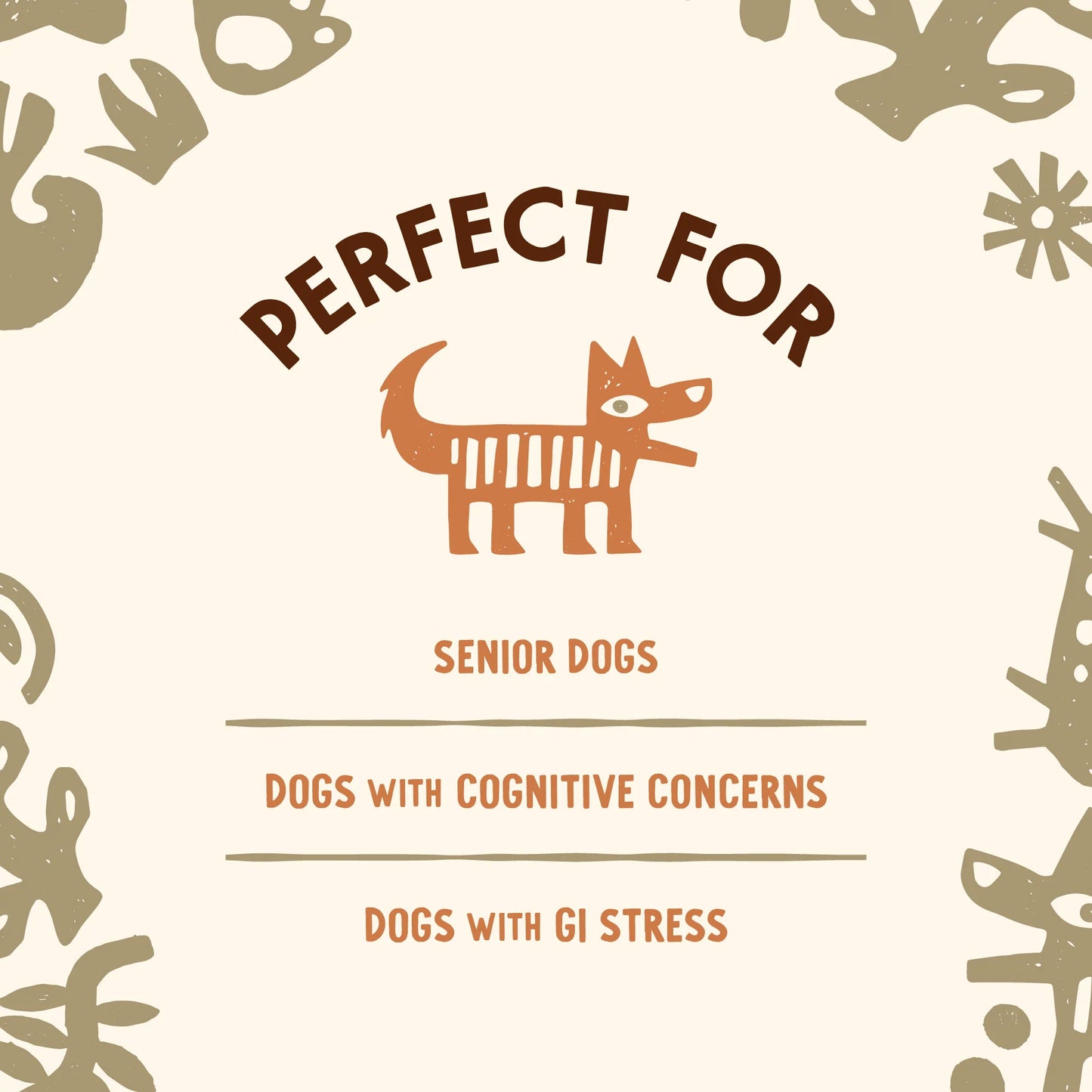 Mushroom Powder: Lion's Mane + Probiotics (90 servings)