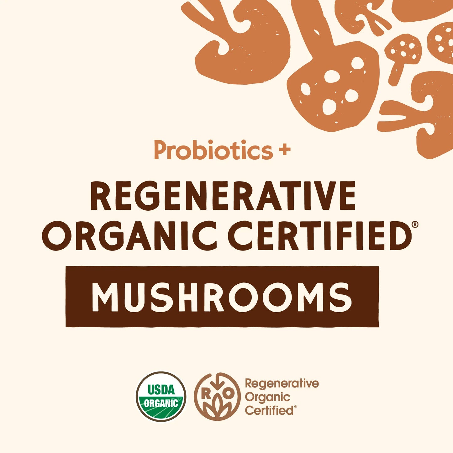 Mushroom Powder: Turkey Tail + Probiotics