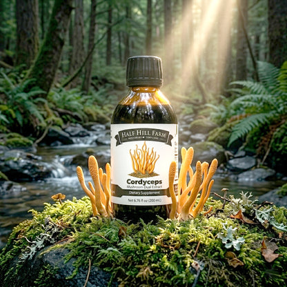 Cordyceps Mushroom Dual Extract