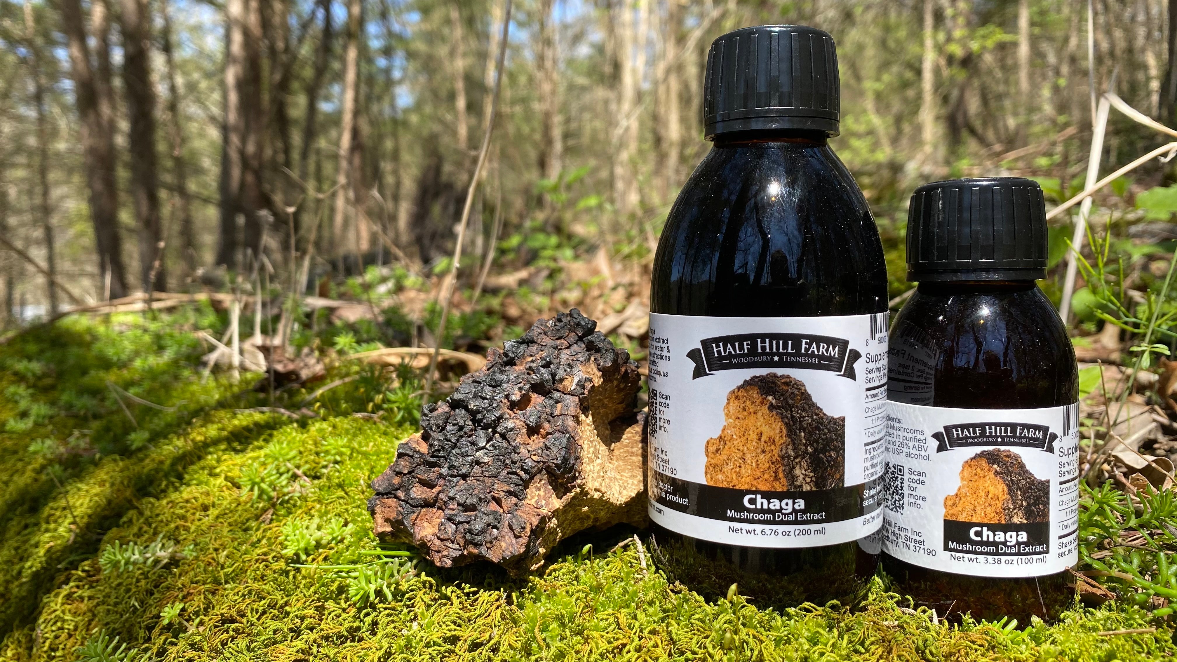 Chaga Mushroom Dual Extract – Half Hill Farm