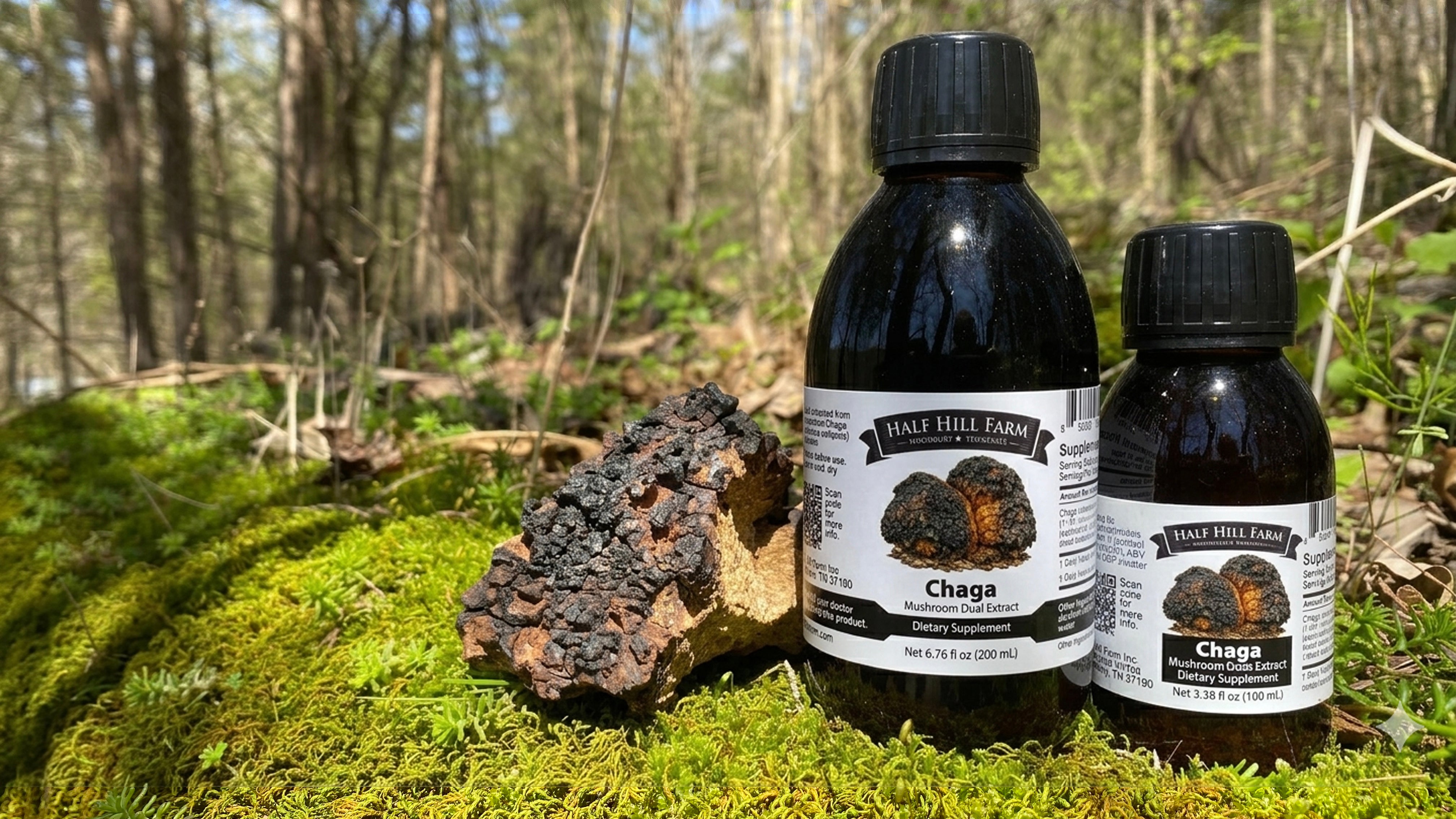 Chaga Mushroom Liquid Dual Extract- 100% Fruiting Body | Half Hill Chaga Mushroom Liquid Dual Extract- 100% Fruiting Body | Half Hill