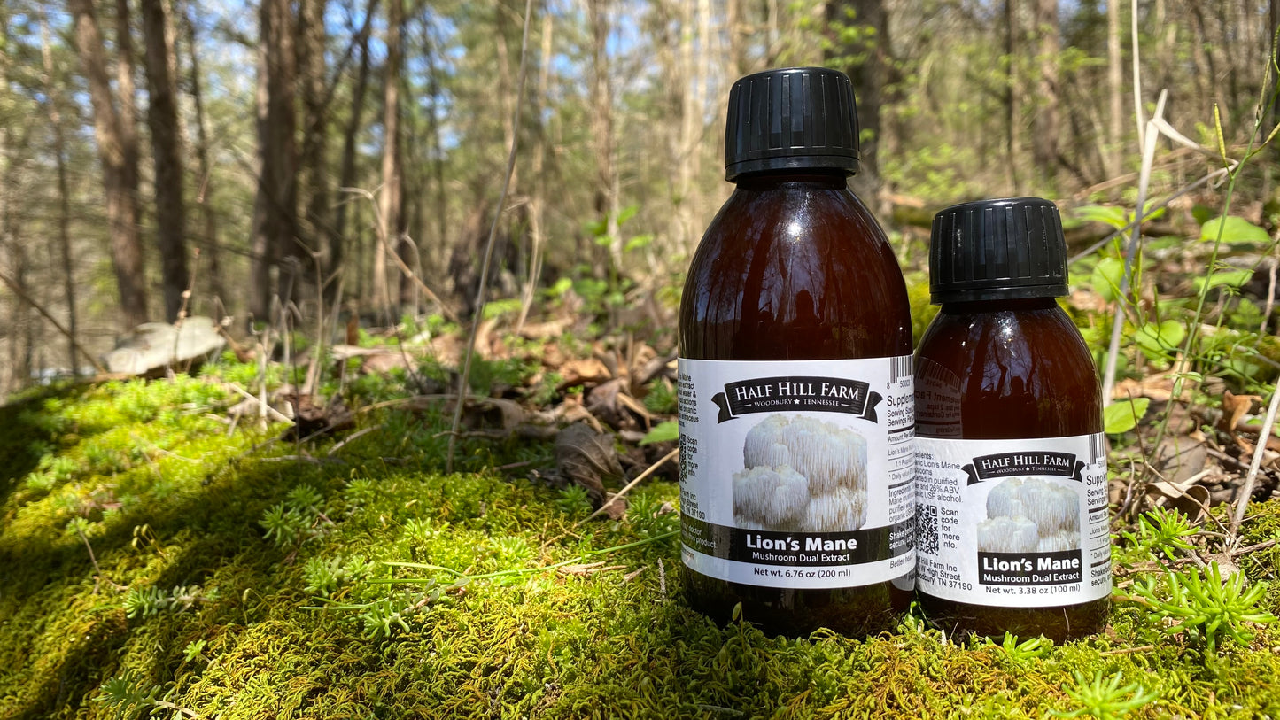 Lion's Mane Mushroom Dual Extract