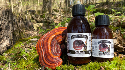 Red Reishi Mushroom Dual Extract