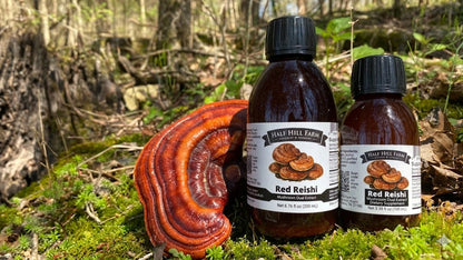 Red Reishi Mushroom Dual Extract