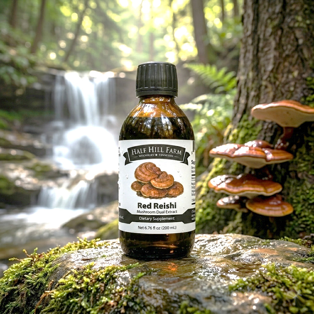 Red Reishi Mushroom Dual Extract
