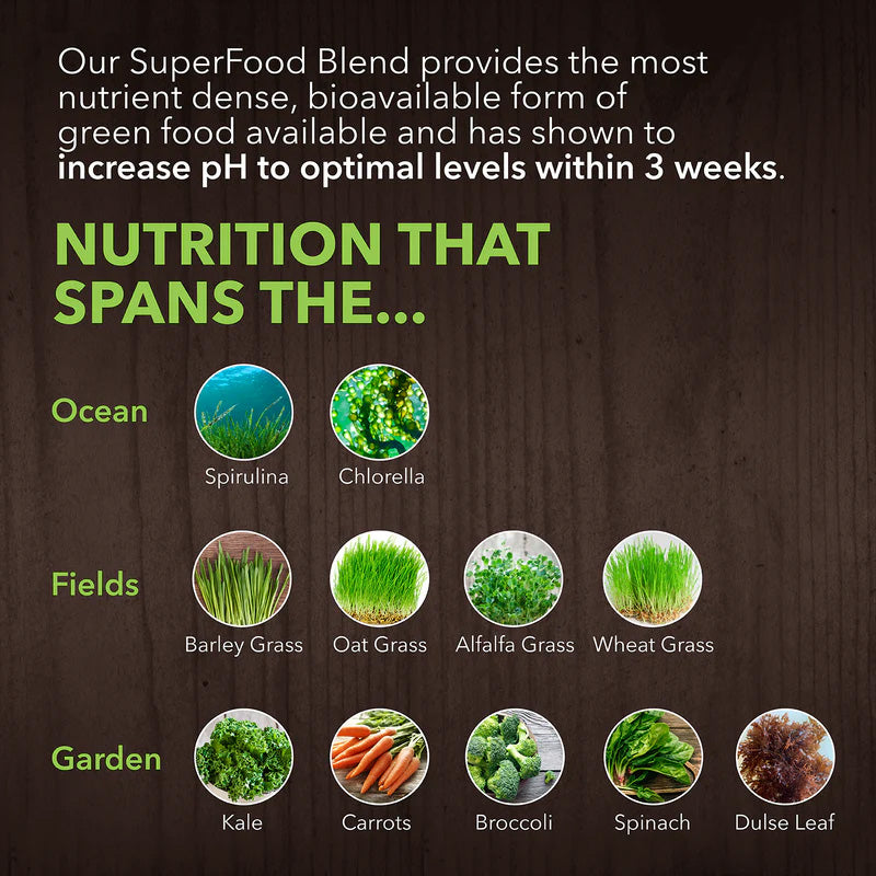 PlantFusion: Alkalizing Greens - Fermented Superfood Powder Blend