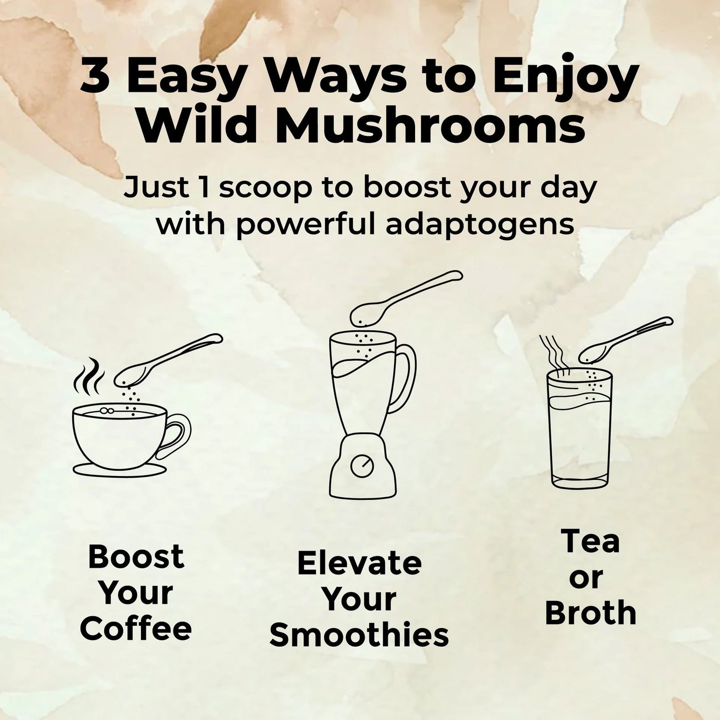 Wild Foods: Five Mushrooms Blend - Adaptogens + Prebiotics