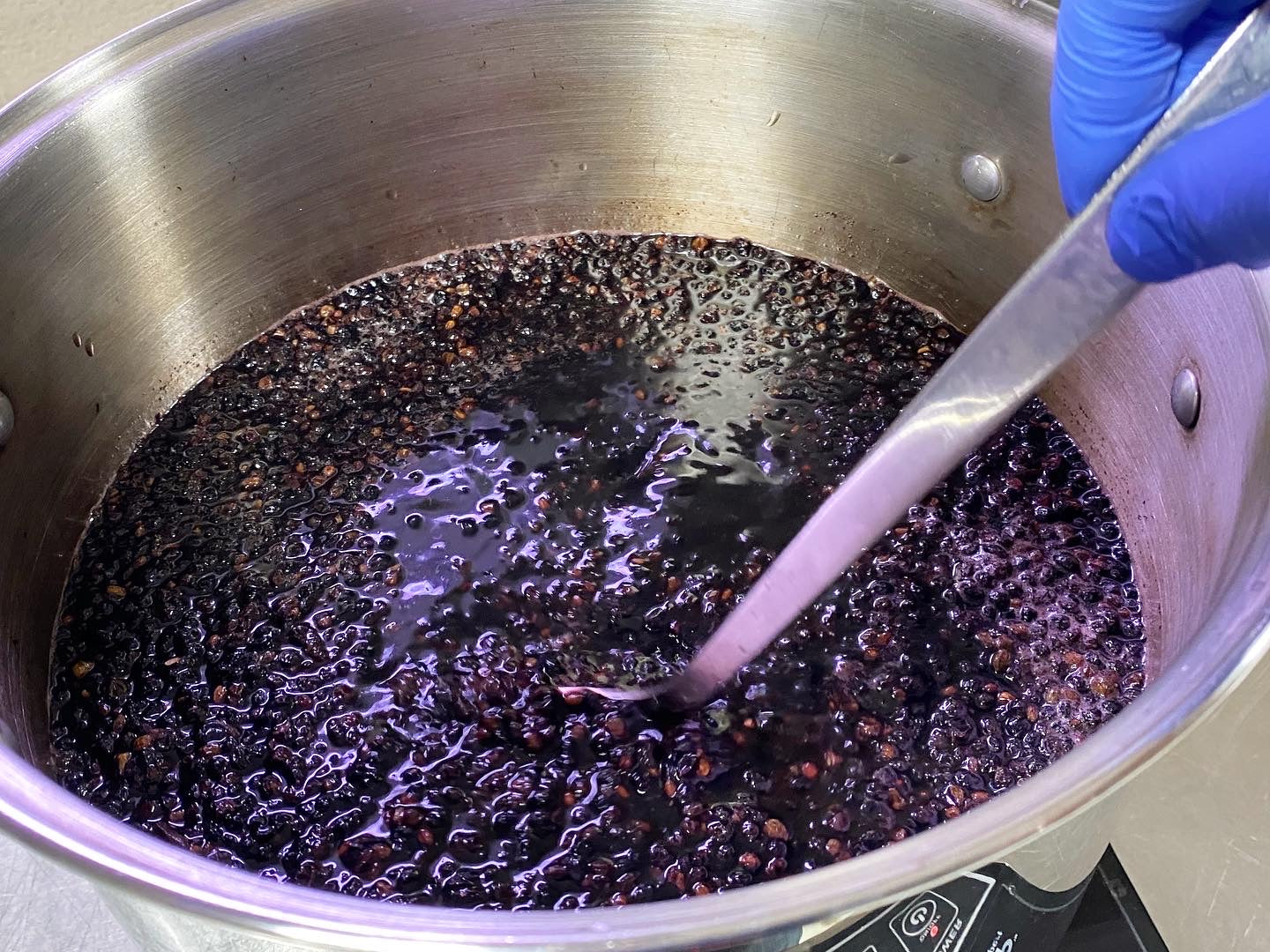 Elderberry Apple Cider Vinegar Tonic