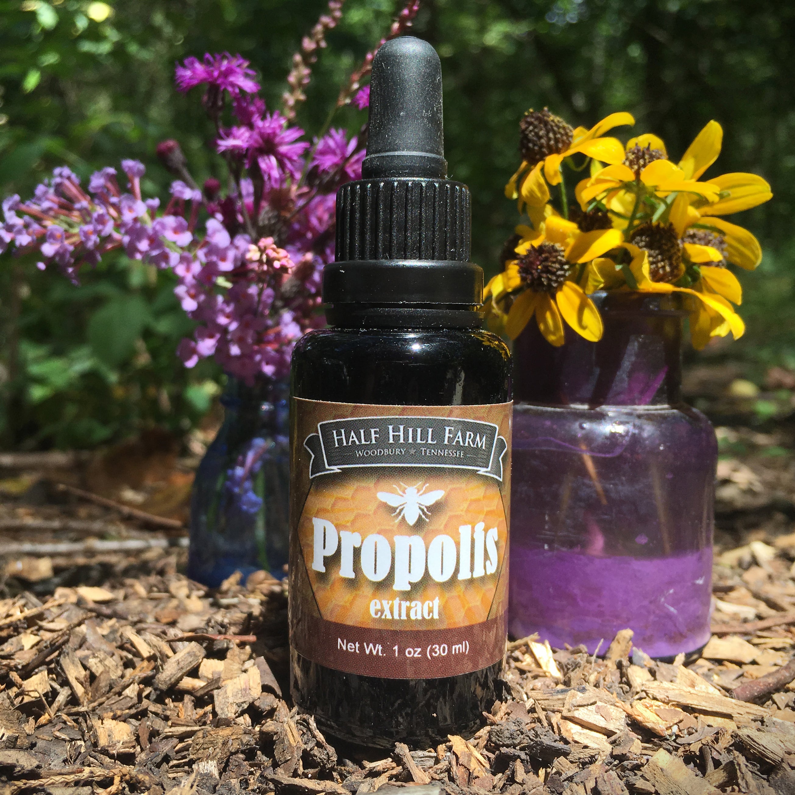 Propolis Extract – Half Hill Farm
